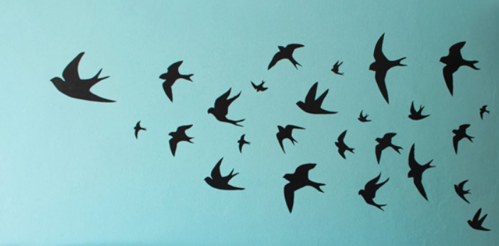 Mơ thấy chim én - Tín hiệu về các mối quan hệ và tin vui Mơ thấy chim én - Tín hiệu về các mối quan hệ và tin vui