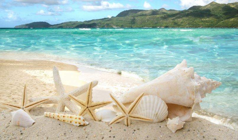 Mơ thấy biển cạn - Thấy biển cạn trơ đáy hoặc nứt nẻ Mơ thấy biển cạn - Thấy biển cạn trơ đáy hoặc nứt nẻ