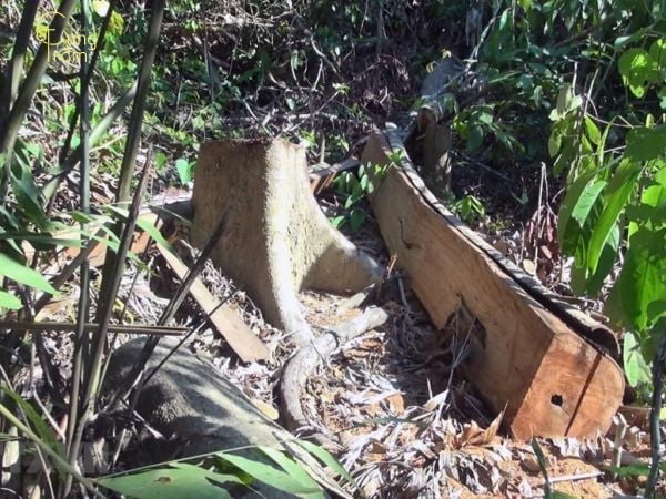 Mơ thấy bè gỗ - Thấy nhiều bè gỗ trôi nối tiếp nhau Mơ thấy bè gỗ - Thấy nhiều bè gỗ trôi nối tiếp nhau